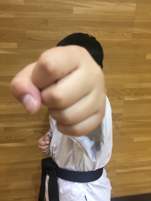 極真空手のイメージ