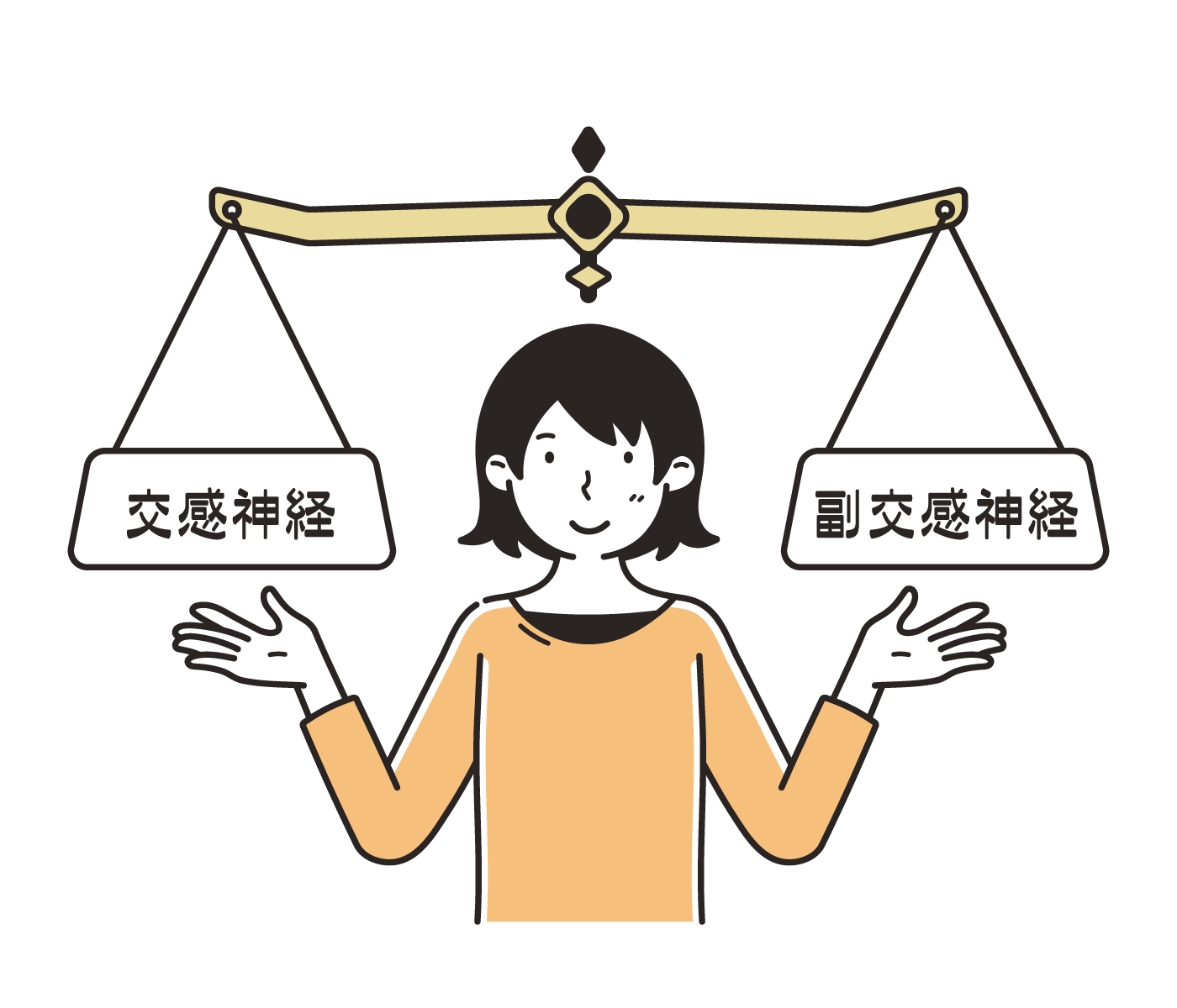 自律神経(交感神経と副交感神経)のはたらきの図